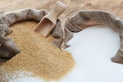 Sugar prices in October 2019 may recover slightly