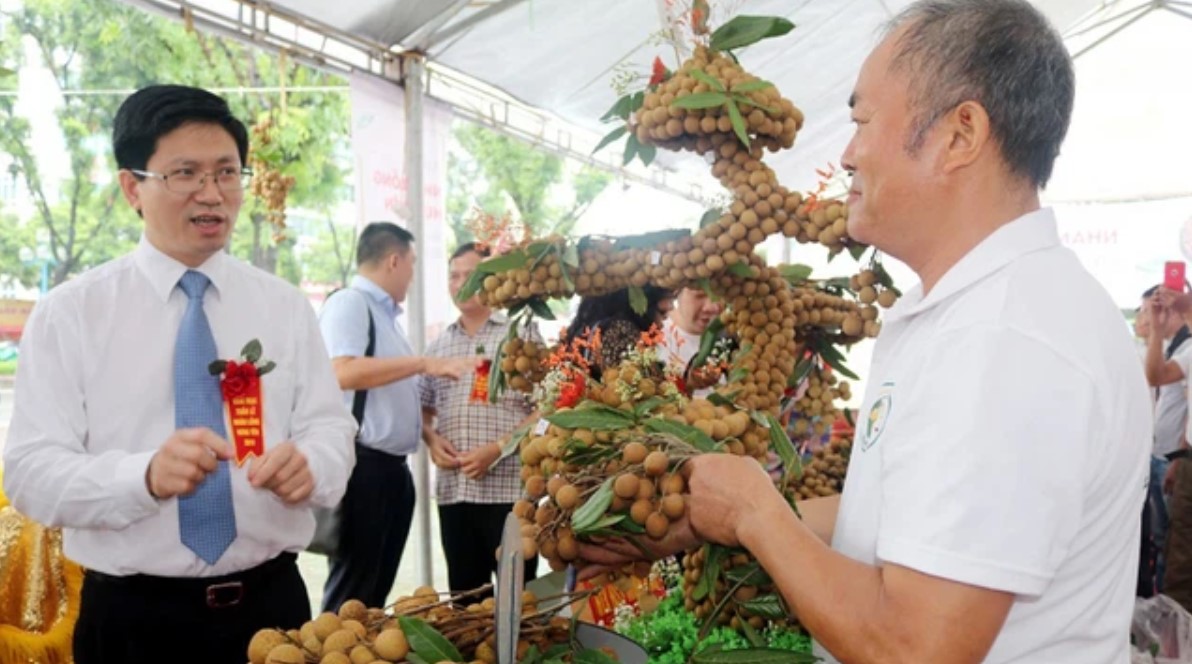 3 tấn nhãn đầu tiên chuẩn bị xuất khẩu sang châu Âu