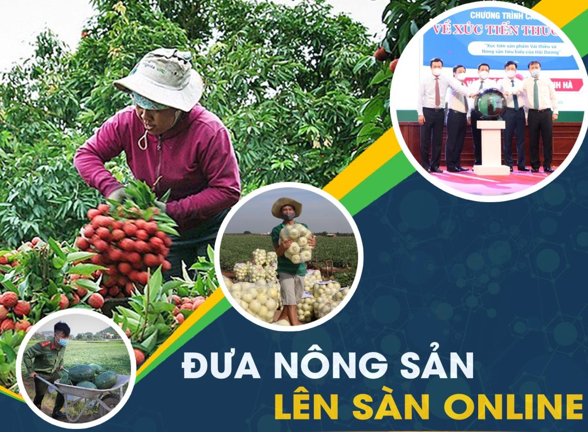 Giúp các hộ nông dân tham gia sàn thương mại điện tử