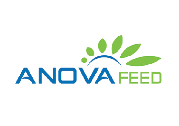 ANOVA FEED <br/> JOINT STOCK COMPANY